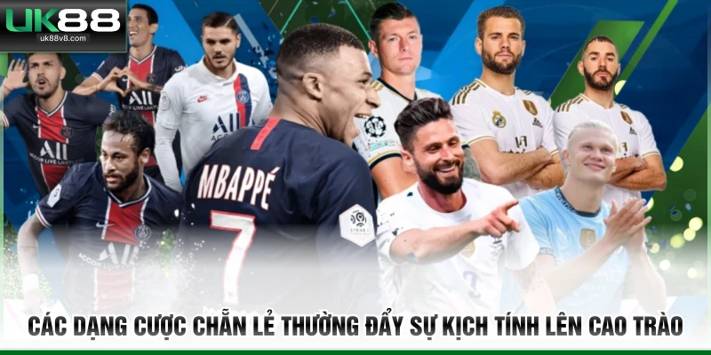 Các dạng cược chẵn lẻ thường đẩy sự kịch tính lên cao trào 