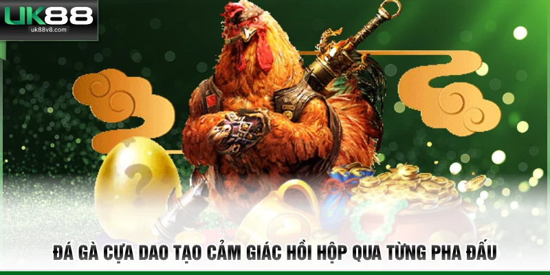 Đá gà Cựa Dao tạo cảm giác hồi hộp qua từng pha đấu