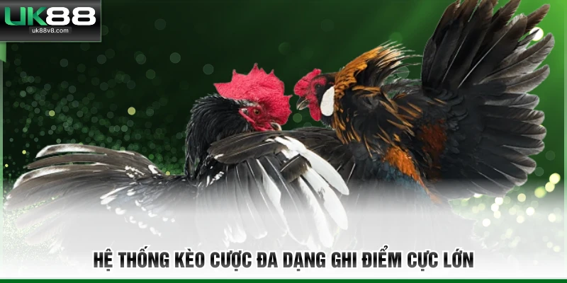 Hệ thống kèo cược đa dạng ghi điểm cực lớn