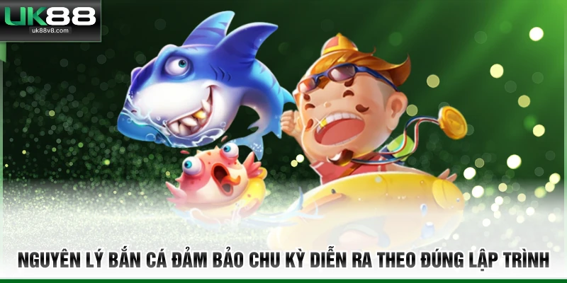 Nguyên lý bắn cá đảm bảo chu kỳ diễn ra theo đúng lập trình 